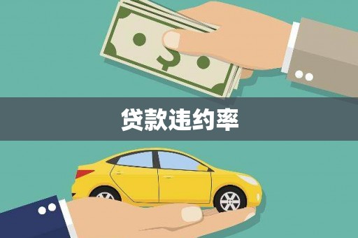 泸州贷款违约率