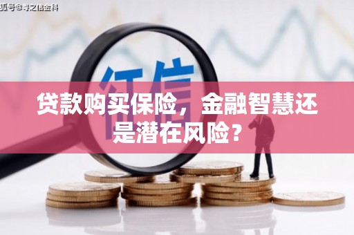 乌丘贷款购买保险，金融智慧还是潜在风险？