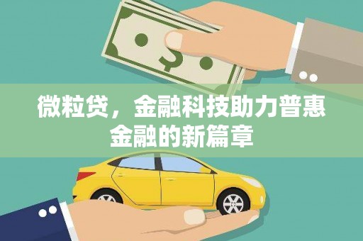 花地玛堂区微粒贷，金融科技助力普惠金融的新篇章
