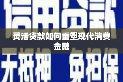 嘉禾灵活贷款如何重塑现代消费金融