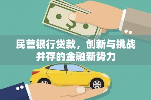 海东民营银行贷款，创新与挑战并存的金融新势力