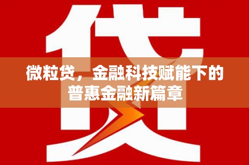 张湾微粒贷，金融科技赋能下的普惠金融新篇章