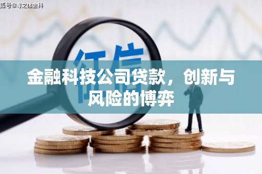 门头沟金融科技公司贷款，创新与风险的博弈