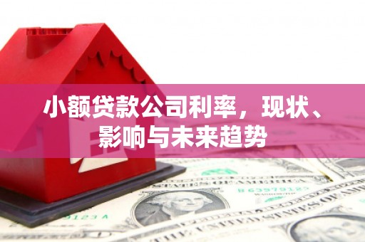 安乡小额贷款公司利率，现状、影响与未来趋势