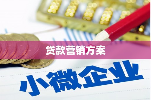 平湖贷款营销方案