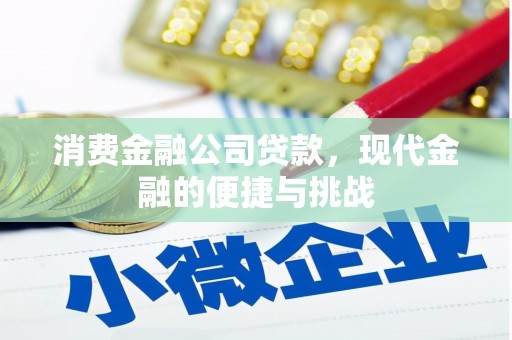 安定消费金融公司贷款，现代金融的便捷与挑战
