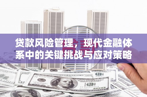 伽师贷款风险管理，现代金融体系中的关键挑战与应对策略