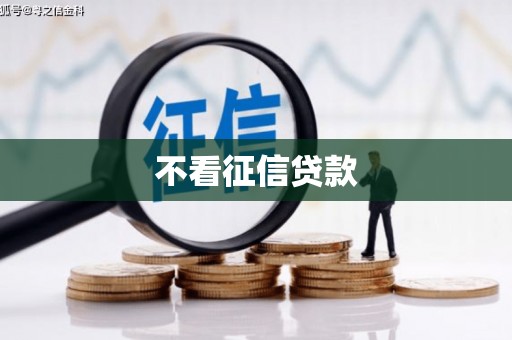 盐山不看征信贷款