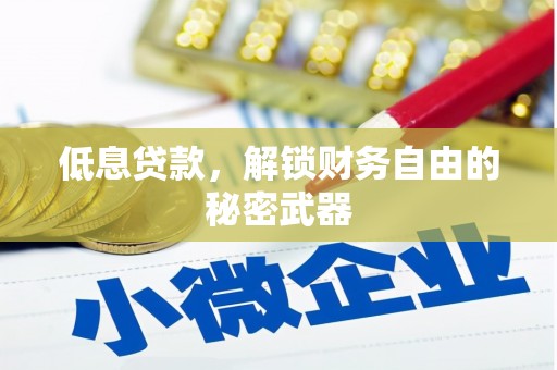 台南低息贷款，解锁财务自由的秘密武器