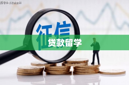 绥滨贷款留学