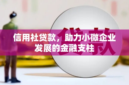 黔东南信用社贷款，助力小微企业发展的金融支柱