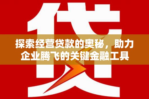 石龙探索经营贷款的奥秘，助力企业腾飞的关键金融工具