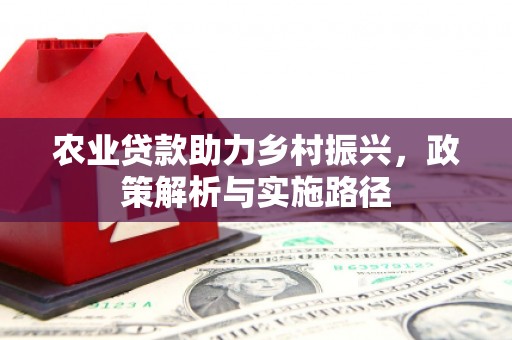 洪梅农业贷款助力乡村振兴，政策解析与实施路径