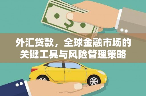 乌伊岭外汇贷款，全球金融市场的关键工具与风险管理策略