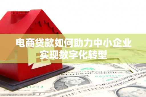 高邮电商贷款如何助力中小企业实现数字化转型