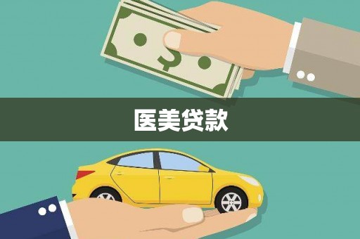 乐东医美贷款
