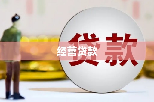 奎文经营贷款