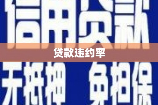 丽水贷款违约率