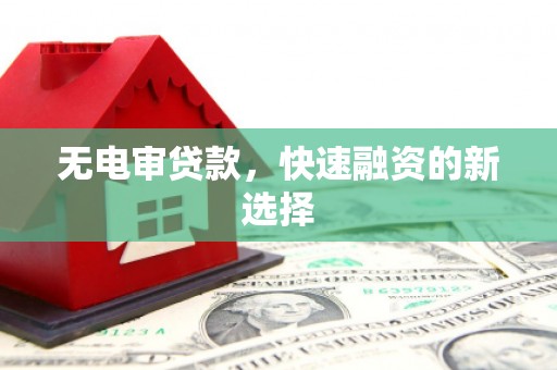 舟山新区无电审贷款，快速融资的新选择