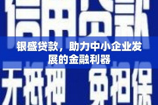 汝阳银盛贷款，助力中小企业发展的金融利器