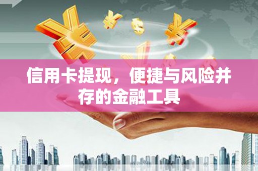 凌海信用卡提现，便捷与风险并存的金融工具