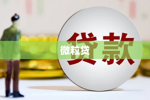 永寿微粒贷