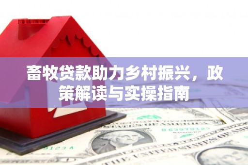 石鼓畜牧贷款助力乡村振兴，政策解读与实操指南