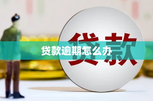 新蔡贷款逾期怎么办