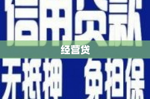贞丰经营贷