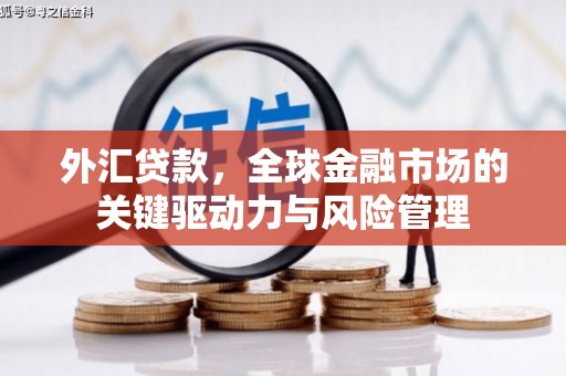 大朗外汇贷款，全球金融市场的关键驱动力与风险管理