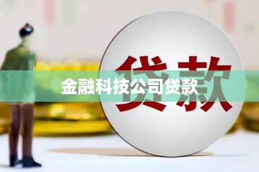 佛坪金融科技公司贷款