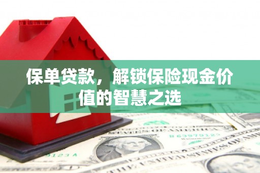 西吉保单贷款，解锁保险现金价值的智慧之选