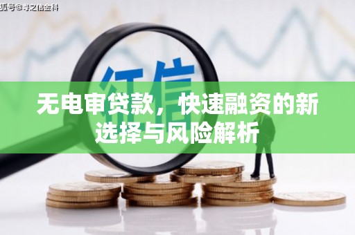 荷塘无电审贷款，快速融资的新选择与风险解析