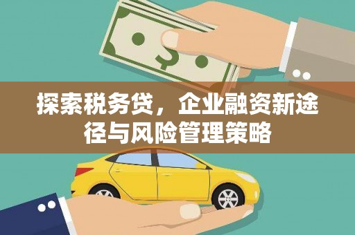 杜集探索税务贷，企业融资新途径与风险管理策略