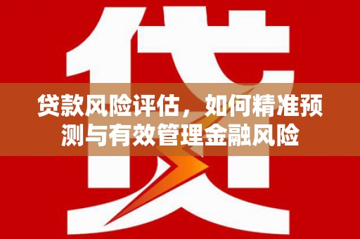 宝兴贷款风险评估，如何精准预测与有效管理金融风险