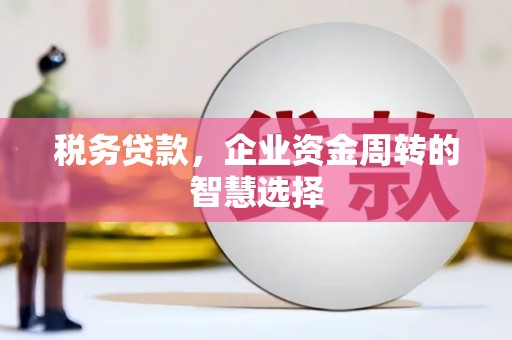 隆回税务贷款，企业资金周转的智慧选择