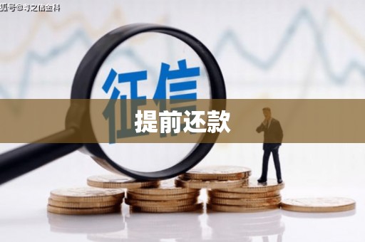 嘉模堂区提前还款