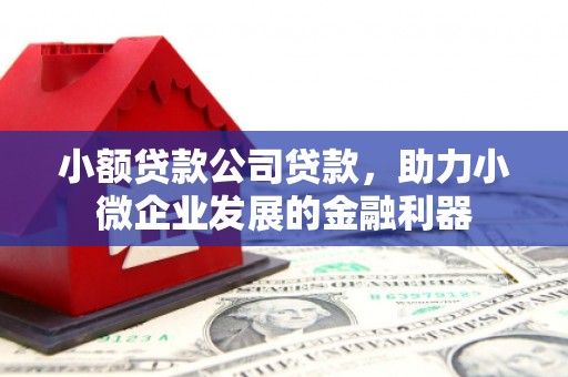 鹿城小额贷款公司贷款，助力小微企业发展的金融利器