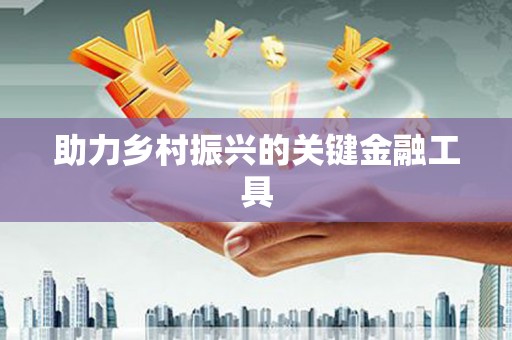 巴青助力乡村振兴的关键金融工具