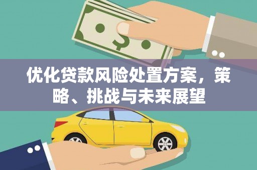 清浦优化贷款风险处置方案，策略、挑战与未来展望