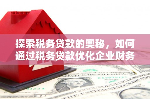 新林探索税务贷款的奥秘，如何通过税务贷款优化企业财务