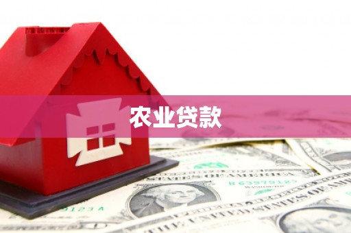 孝南农业贷款