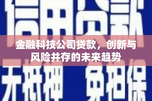 东阿金融科技公司贷款，创新与风险并存的未来趋势