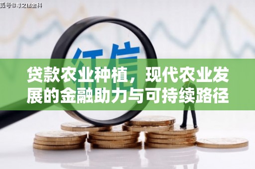夏县贷款农业种植，现代农业发展的金融助力与可持续路径