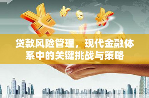 磐石贷款风险管理，现代金融体系中的关键挑战与策略