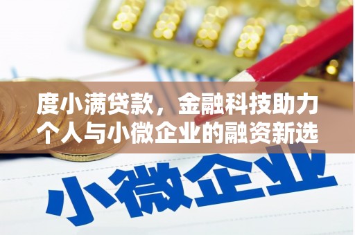 沿河度小满贷款，金融科技助力个人与小微企业的融资新选择