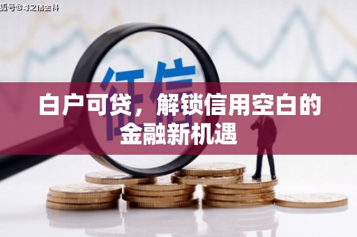 湖南白户可贷，解锁信用空白的金融新机遇