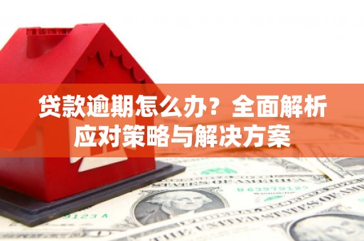 东坡贷款逾期怎么办？全面解析应对策略与解决方案