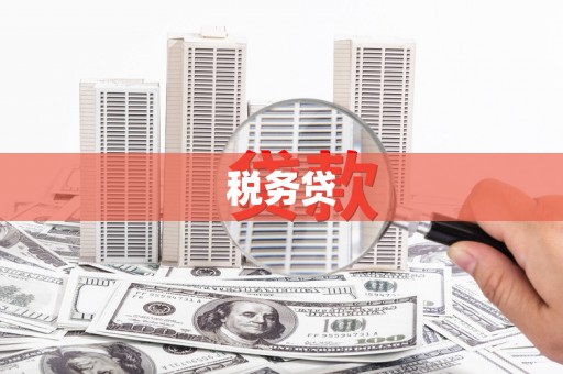工布江达税务贷