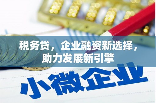乾安税务贷，企业融资新选择，助力发展新引擎